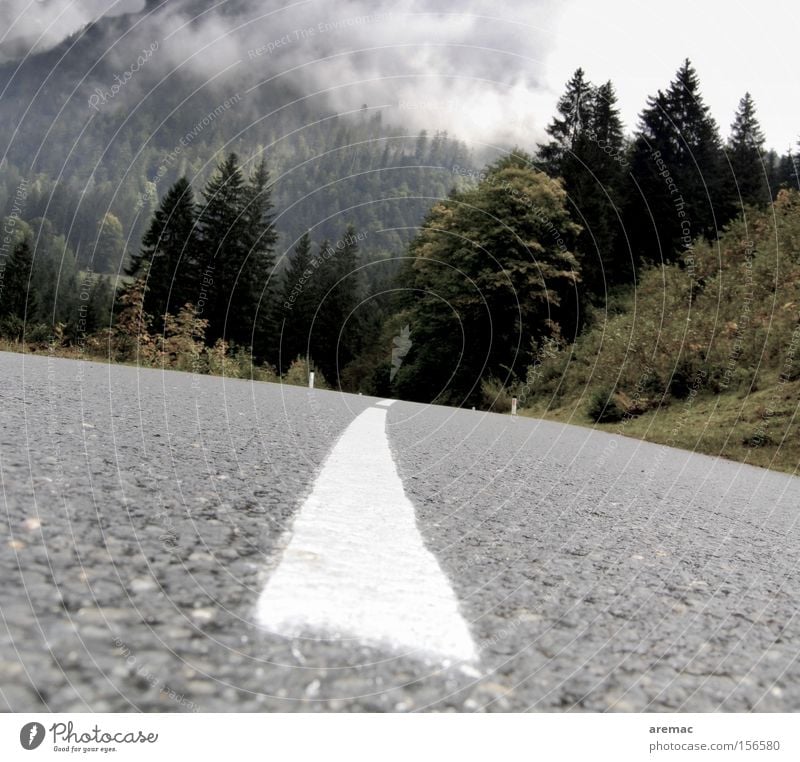 Schräglage Straße Linie Asphalt Landschaft Wolken Wald fahren Ferien & Urlaub & Reisen Berge u. Gebirge Österreich Verkehrswege Herbst Neigung