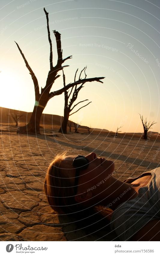 Licht und Schatten Wüste Baum trocken Zweig Ast Tod Namibia Einsamkeit Dead Vlei Sonnenuntergang Umweltverschmutzung Afrika