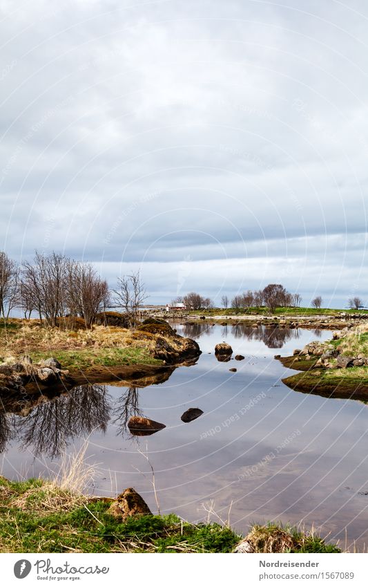 Küstenlandschaft Meer Natur Landschaft Urelemente Luft Wasser Wolken Frühling Klima schlechtes Wetter Regen Baum Gras Sträucher Flussufer maritim ruhig