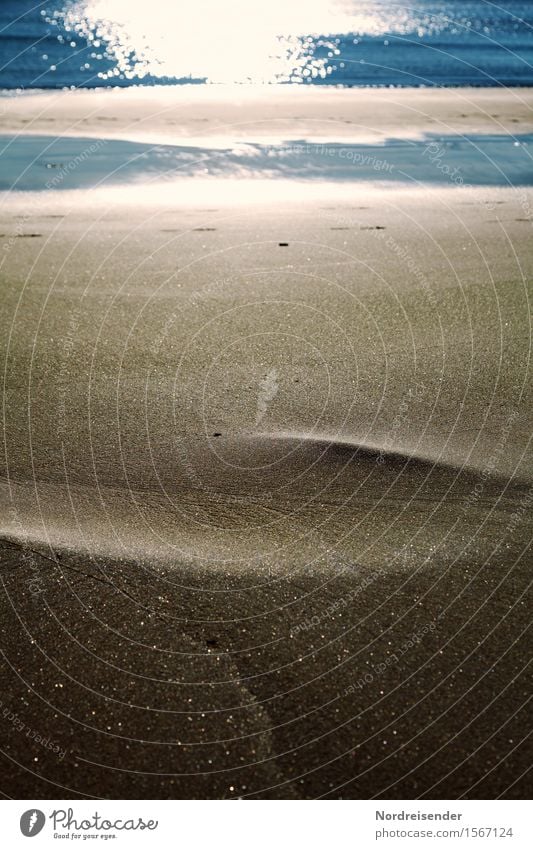 Goldstrand Ferien & Urlaub & Reisen Strand Meer Urelemente Sand Wasser Sonne Sommer Nordsee Ostsee Schwimmen & Baden exotisch nass Wärme Sehnsucht Fernweh