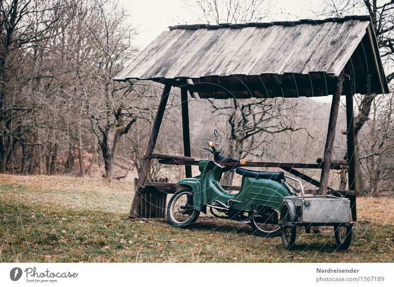 Schwalbe Combi Lifestyle Freizeit & Hobby Ausflug Technik & Technologie Natur Landschaft schlechtes Wetter Regen Baum Gras Sträucher Wiese Hütte Bauwerk Verkehr