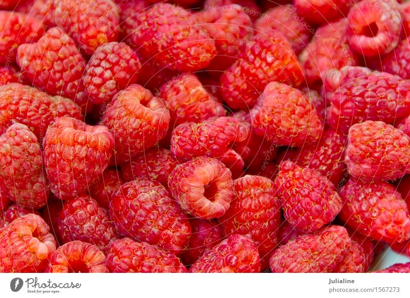 Frische rote Himbeere des Hintergrundes Lebensmittel Vegetarische Ernährung frisch Himbeeren süß Beeren Gesundheit roh organisch Gartenmaterial Farbfoto