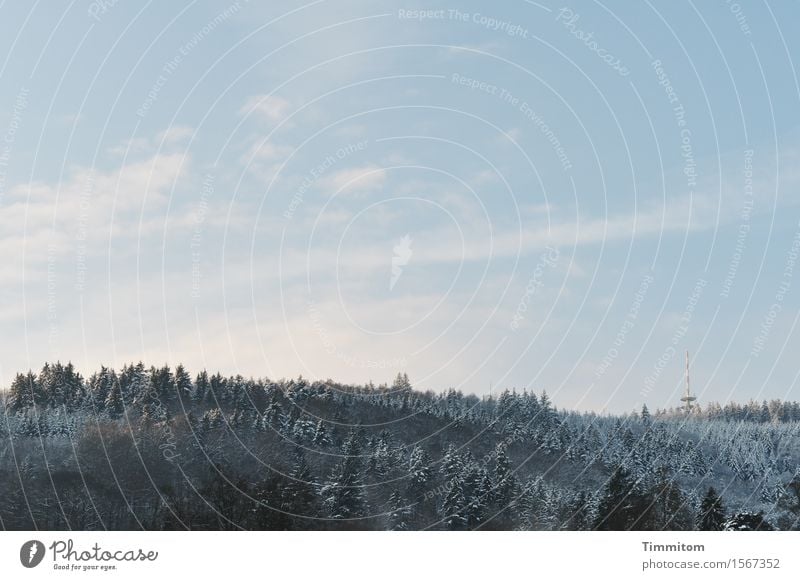 Die weiteren Aussichten... Umwelt Natur Himmel Wolken Winter Wald Hügel ästhetisch natürlich schwarz weiß Sendemast Farbfoto Außenaufnahme Menschenleer Tag