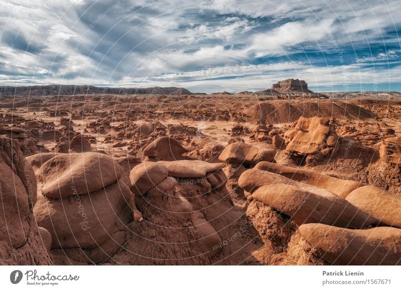 Wild West harmonisch Wohlgefühl Zufriedenheit Sinnesorgane Erholung Ferien & Urlaub & Reisen Abenteuer Freiheit Sommer Berge u. Gebirge Umwelt Natur Landschaft