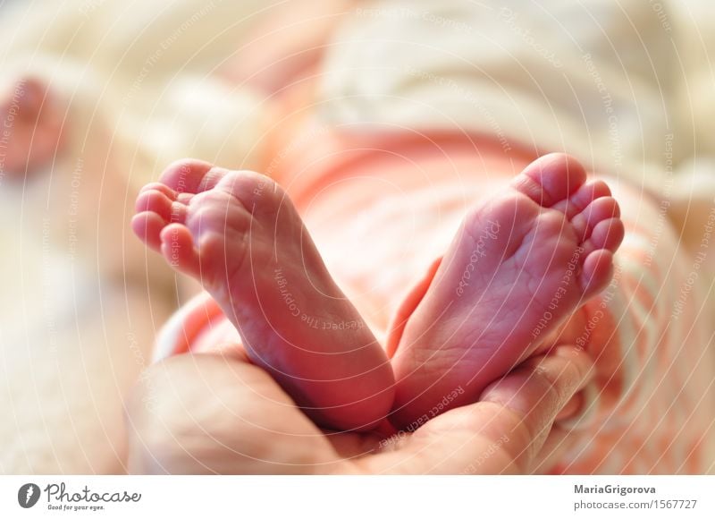 Baby Füße Mensch Hand Fuß Gefühle Coolness Liebe schön Farbfoto Menschenleer Morgen Tag Unschärfe