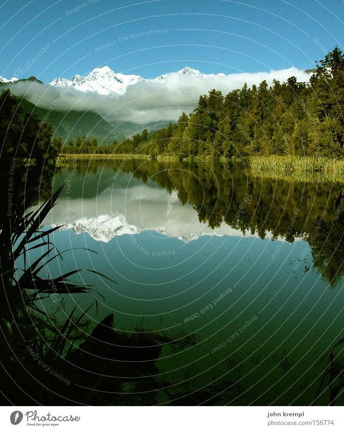 SEElenlandschaft Neuseeland Lake Matheson Wasser See Berge u. Gebirge Mount Cook Schnee grün Reflexion & Spiegelung Wald alpin Gletscher Fox Gletscher Alpen