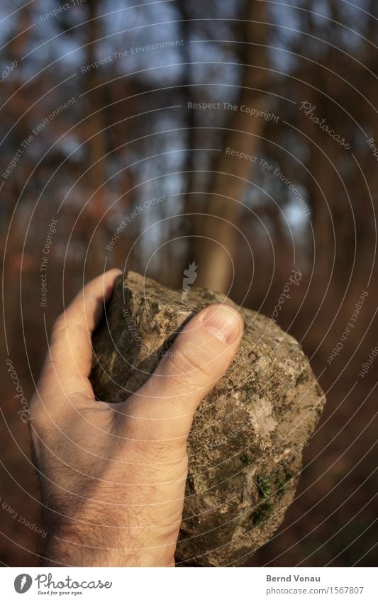 Härte Mensch maskulin Hand Finger 45-60 Jahre Erwachsene Gefühle heben Gewalt Stein werfen schwer Baum hart kalt Sonnenlicht wehren braun grau blau drohen