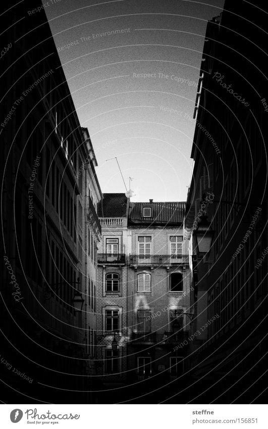 Häuserschlucht Lissabon Portugal Gasse Haus Jugendstilhaus historisch Tourist Ferien & Urlaub & Reisen südländisch Licht Altstadt Schwarzweißfoto