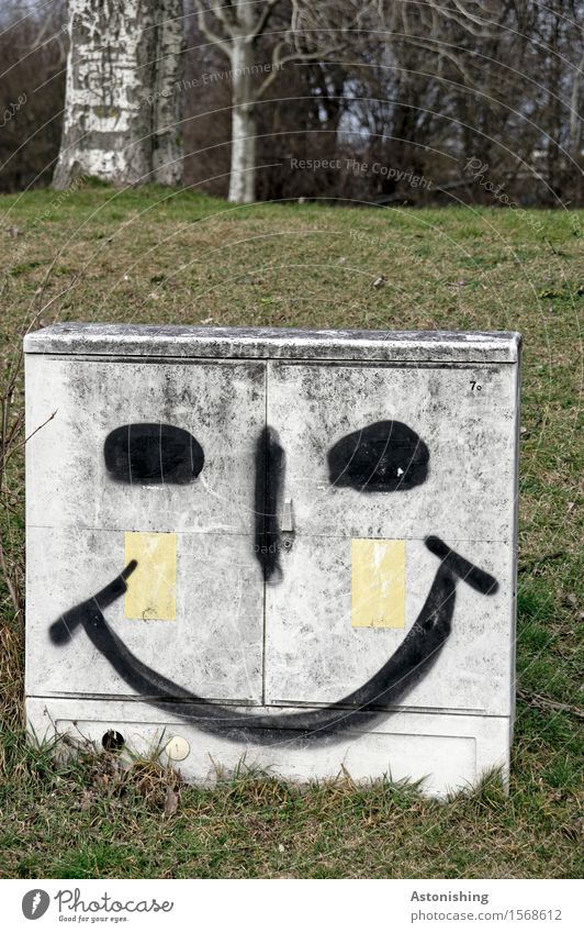 bright smile II Gesicht Auge Nase Mund Umwelt Natur Landschaft Pflanze Baum Gras Park Wiese Hügel Wien Lächeln lachen leuchten Fröhlichkeit grau grün Gefühle