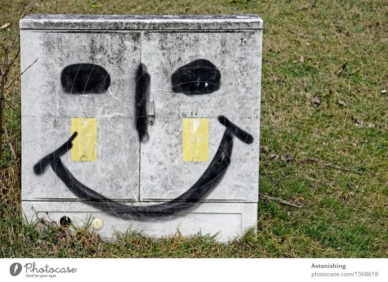 bright smile I Gesicht Auge Nase Mund Kunst Umwelt Landschaft Gras Wiese Wien Lächeln lachen leuchten Fröhlichkeit grau grün Freude Glück Zufriedenheit