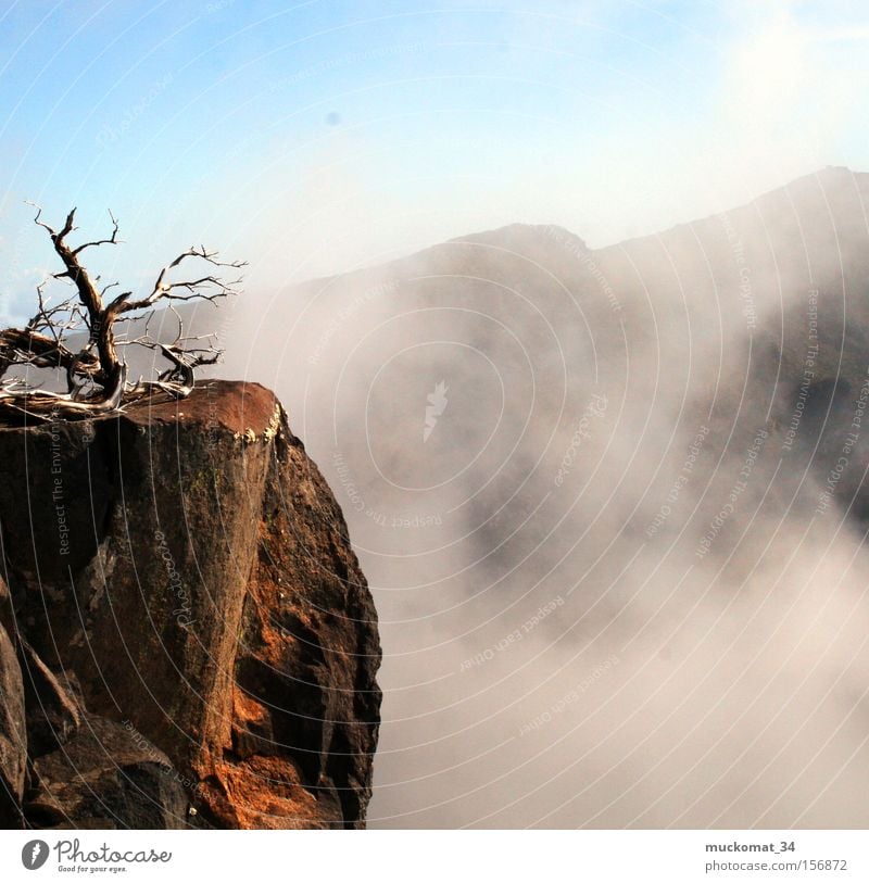 The Fog Nebel Ast Holz Erde Stein Berge u. Gebirge Himmel Blauer Himmel Bergsteigen Sonne Bergkette Felsen Wasserdampf Vulkan