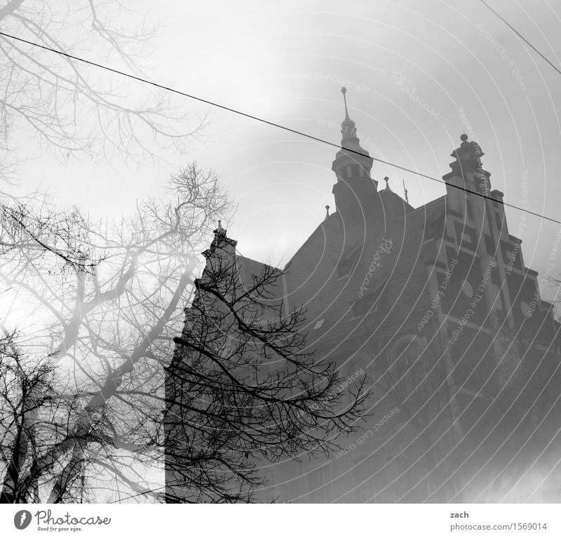 Remix | Bonjour Tristesse Himmel Wolken Pflanze Baum Berlin Köpenick Kleinstadt Stadt Altstadt Menschenleer Haus Traumhaus Platz Rathaus Turm Bauwerk