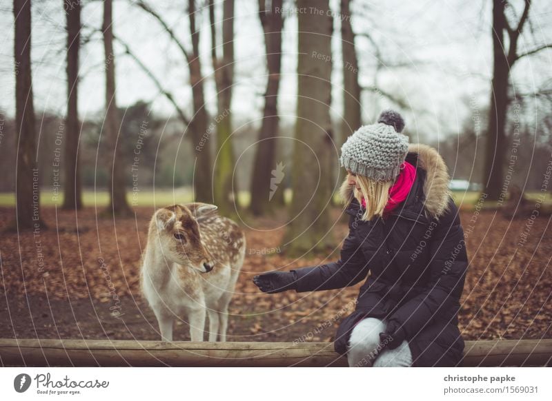 Anfüttern Junge Frau Jugendliche Erwachsene 1 Mensch 18-30 Jahre Natur Herbst Baum Park Wald Mantel Mütze blond Tier Wildtier Fell Zoo Streichelzoo Reh