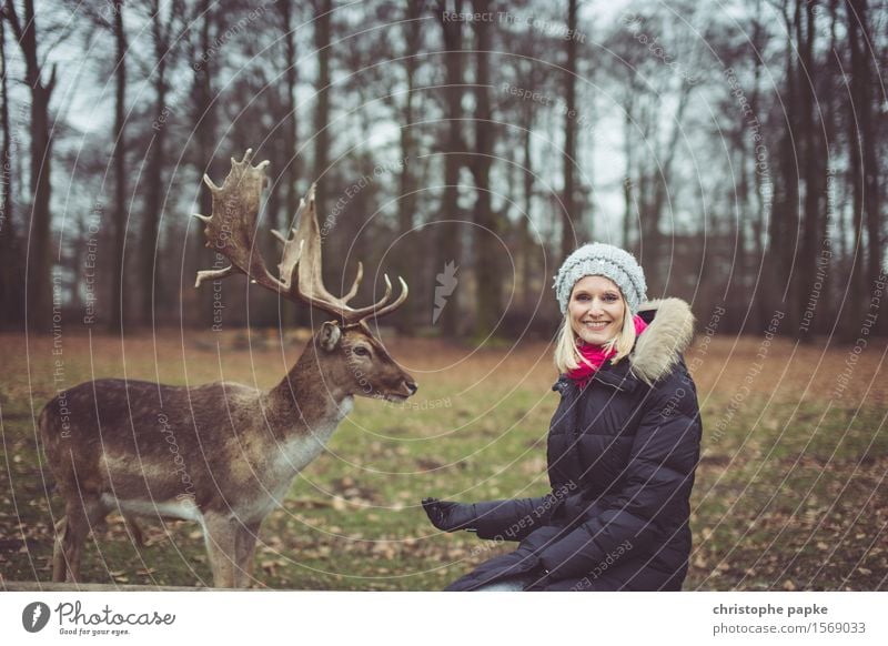 alles frei im Geweih? Junge Frau Jugendliche Erwachsene 1 Mensch 18-30 Jahre Natur Herbst Baum Park Wald Mantel Mütze blond Tier Wildtier Fell Zoo Streichelzoo