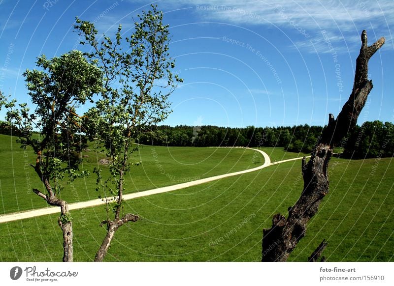 Landschaft Straße blau Himmel Klarheit Gras Baum Begeisterung grün Außenbereich horizontal Blatt