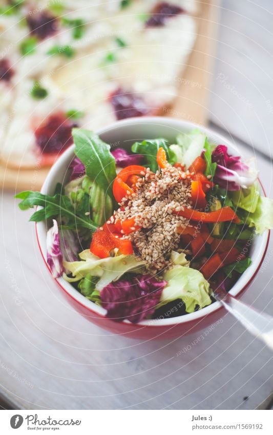 Seebär II Lebensmittel Gemüse Salat Salatbeilage Brot Sesam Rucola Ernährung Frühstück Mittagessen Abendessen Vegetarische Ernährung Flammkuchen Gabel Schüssel