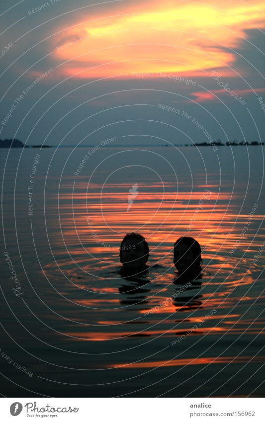 nasses Paar Farbfoto Außenaufnahme Silhouette Schwimmen & Baden Strand Meer Mensch maskulin Frau Erwachsene Mann Kopf 2 Natur Wasser See Fluss Liebe