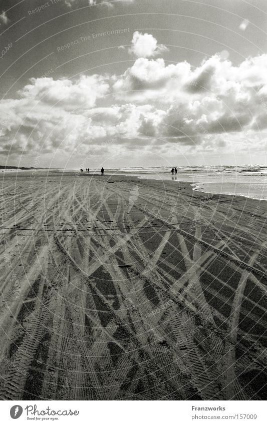 Im Land der heißen Hunde. Strand Spuren Reifen Sand Meer Dänemark Wolken Himmel Natur Ferien & Urlaub & Reisen Freiheit Ferne Horizont Stranddüne schön