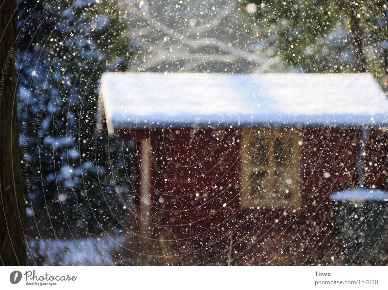 Leise rieselt der Schnee Farbfoto Außenaufnahme Menschenleer Tag ruhig Winter Schneefall Hütte Fenster Dach Romantik friedlich Frieden Märchen Schneelandschaft