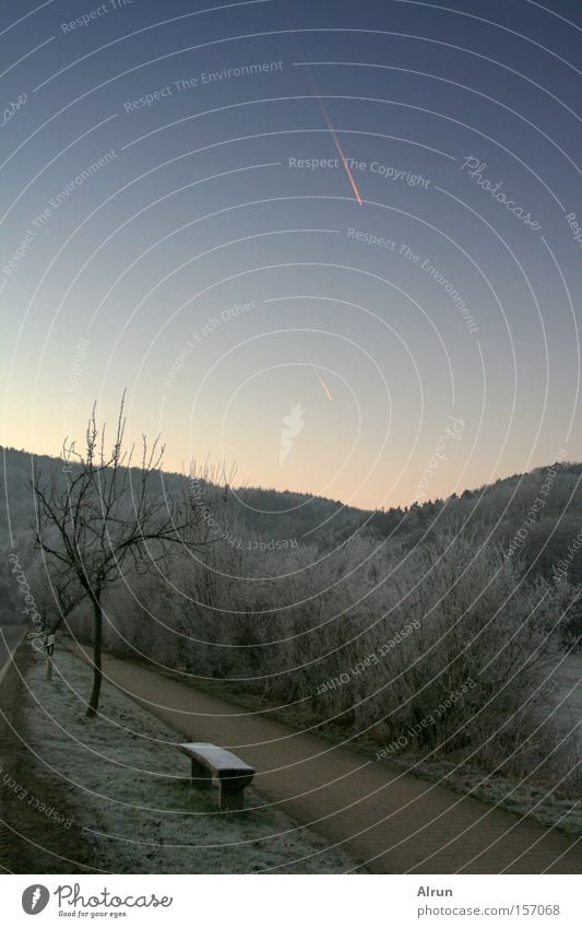 Sternschnuppe Bank Baum Wege & Pfade Himmel Wald Winter kalt gefroren blau grau Eis Schnee