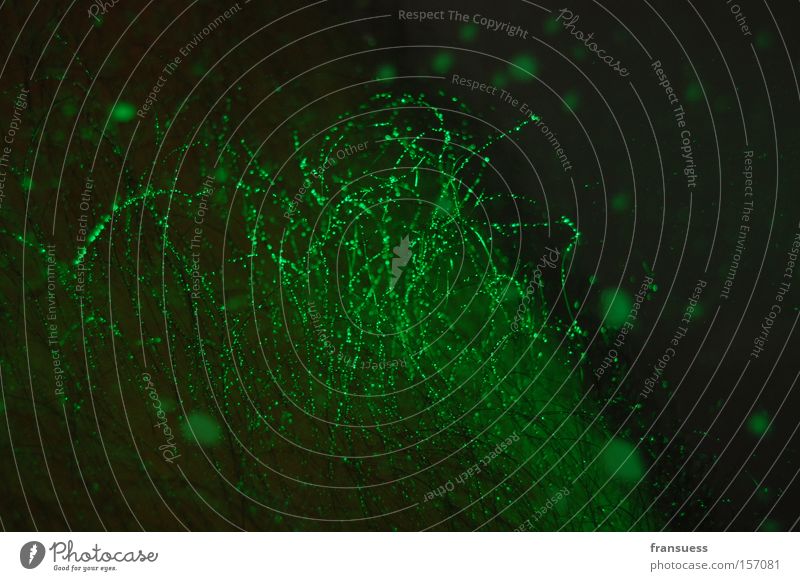 strange things happen grün abstrakt Haare & Frisuren Wasser Physik Sauerstoff Blase Beine Blubbern Pflanze Wachstum Detailaufnahme Makroaufnahme Nahaufnahme