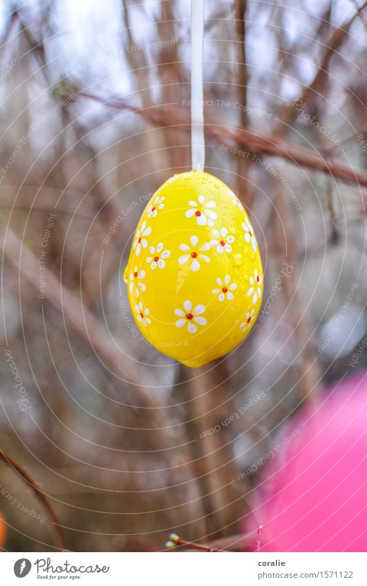 Frohes Eiersuchen Wassertropfen Garten nass niedlich Ostern Osterei geblümt gelb Frühling April März Ostermontag Ostergeschenk Sträucher mehrfarbig tropfend