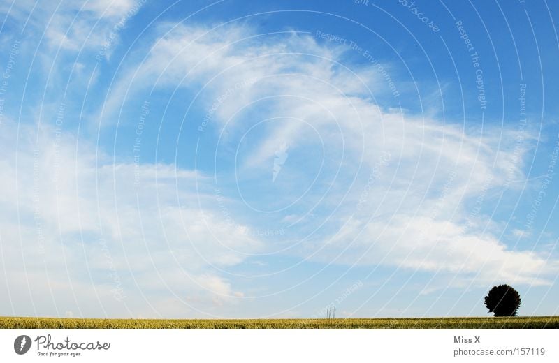 ein Sonntag in Schwaben Ferne Freiheit Sommer Landschaft Himmel Wolken Horizont Schönes Wetter Baum Wiese Feld frei blau Einsamkeit einzeln Blauer Himmel