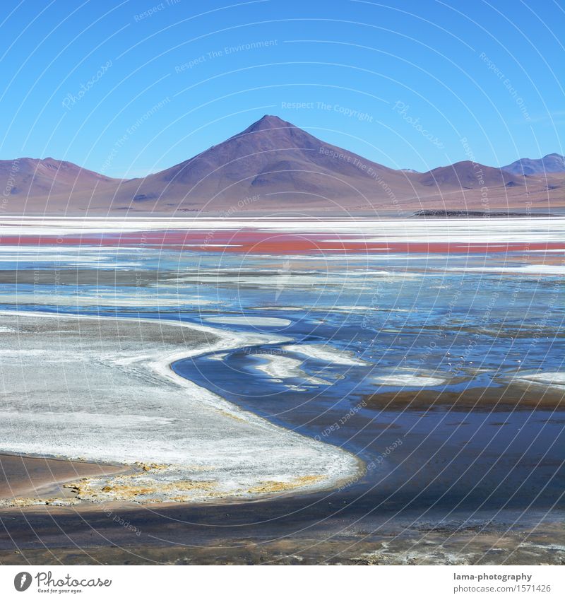 Laguna Colorada Ferien & Urlaub & Reisen Ausflug Freiheit Natur Landschaft Wasser Berge u. Gebirge Vulkan See Lagune Salar de Uyuni Potosi Bolivien Südamerika