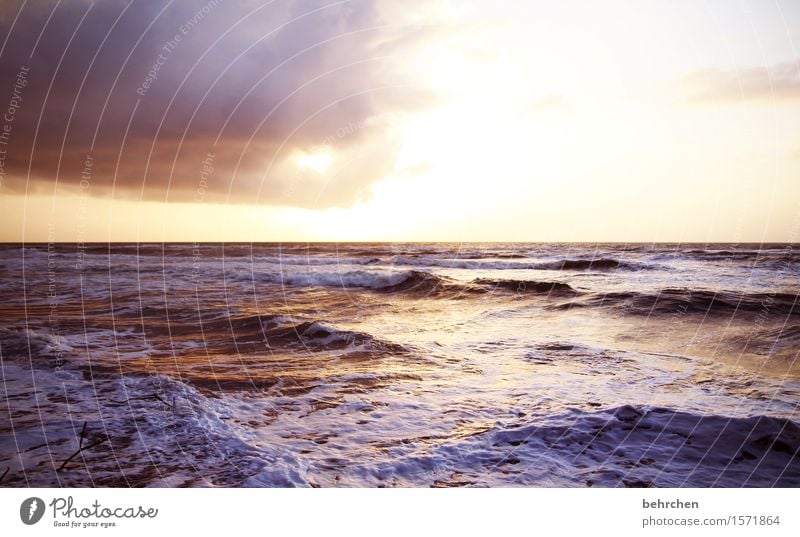 mehr meer Ferien & Urlaub & Reisen Tourismus Ausflug Abenteuer Ferne Freiheit Natur Himmel Wolken Horizont Wind Wellen Küste Strand Meer Karibisches Meer