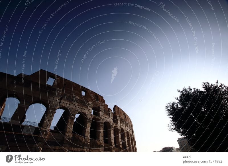 Spielhalle Ferien & Urlaub & Reisen Tourismus Sightseeing Städtereise Wolkenloser Himmel Schönes Wetter Rom Italien Stadt Hauptstadt Stadtzentrum Altstadt Ruine