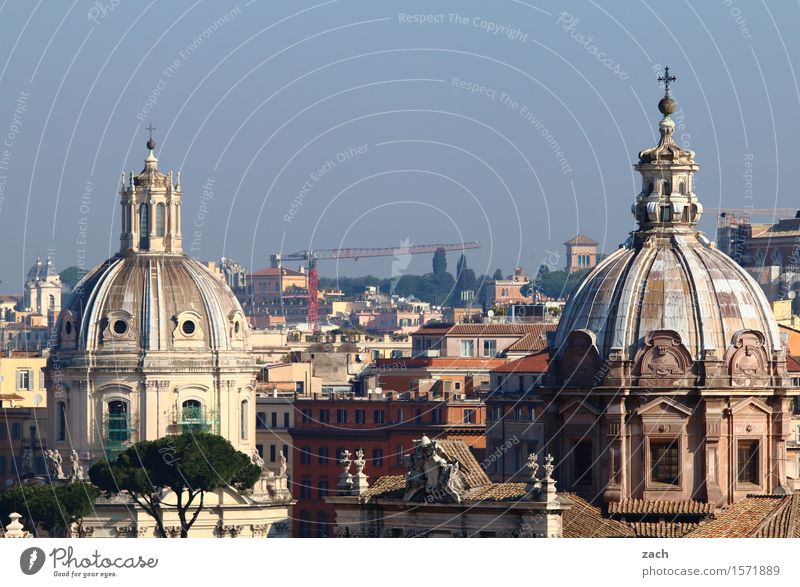 Über den Dächern von Rom Ferien & Urlaub & Reisen Sightseeing Städtereise Himmel Baum Pinie Italien Stadt Hauptstadt Stadtzentrum Altstadt Haus Kirche Dom Turm