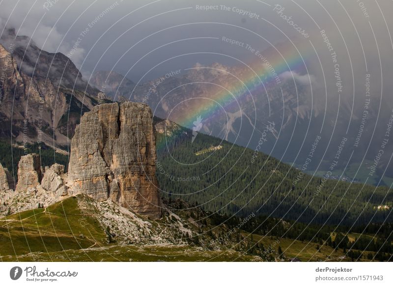 Farbenfrohes Unwetter Ferien & Urlaub & Reisen Tourismus Ausflug Abenteuer Ferne Freiheit Berge u. Gebirge wandern Umwelt Natur Landschaft Pflanze Sommer