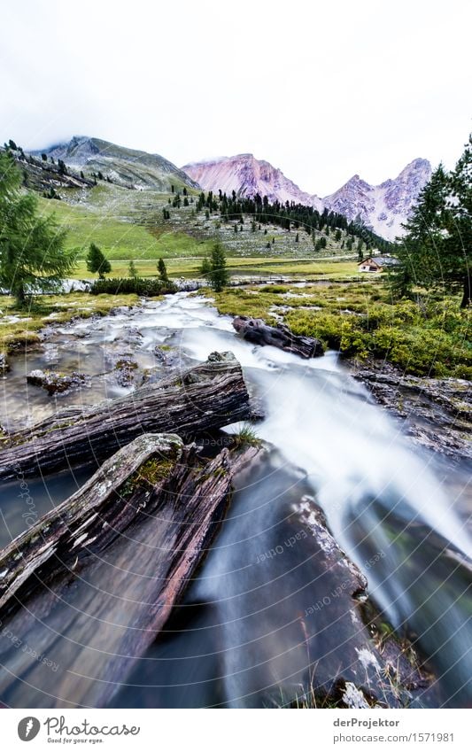 Alles im Fluss Ferien & Urlaub & Reisen Tourismus Ausflug Abenteuer Ferne Freiheit Berge u. Gebirge wandern Umwelt Natur Landschaft Pflanze Tier Sommer