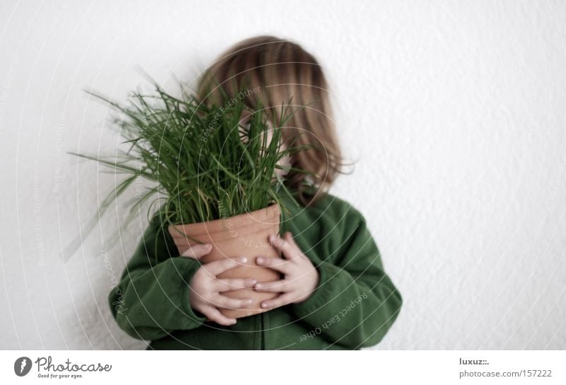 Frühling im T(K)opf Kind Schnittlauch verstecken Gesundheit Ernährung grün Geruch Gastronomie Ernte Bioprodukte festhalten Zutaten