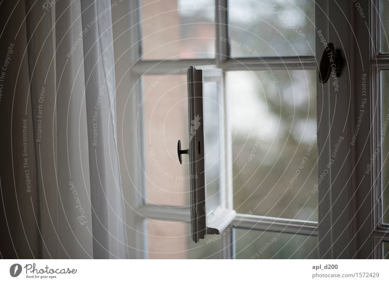 Hoffenster Heidelberg Stadt Haus Fenster Holz Glas Metall beobachten entdecken Blick ästhetisch authentisch eckig elegant klein grau weiß Vorfreude Optimismus