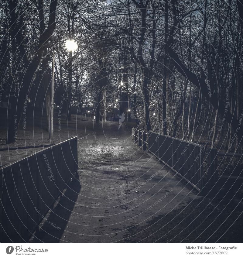 Nachts im Park Natur Landschaft Erde Nachthimmel Wetter Pflanze Baum Menschenleer Brücke Architektur Wege & Pfade Wegkreuzung Sand Metall gehen laufen dunkel