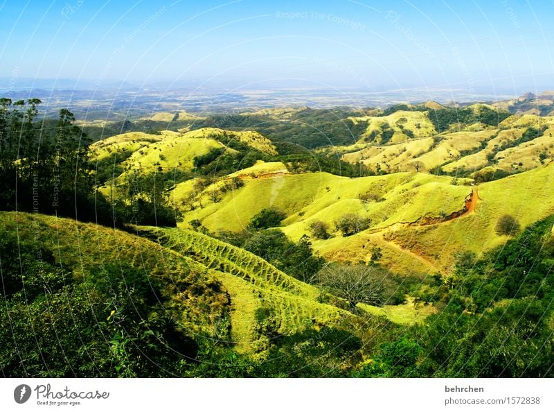 unterwegs... Ferien & Urlaub & Reisen Tourismus Ausflug Abenteuer Ferne Freiheit Natur Landschaft Himmel Horizont Frühling Sommer Schönes Wetter Pflanze Baum