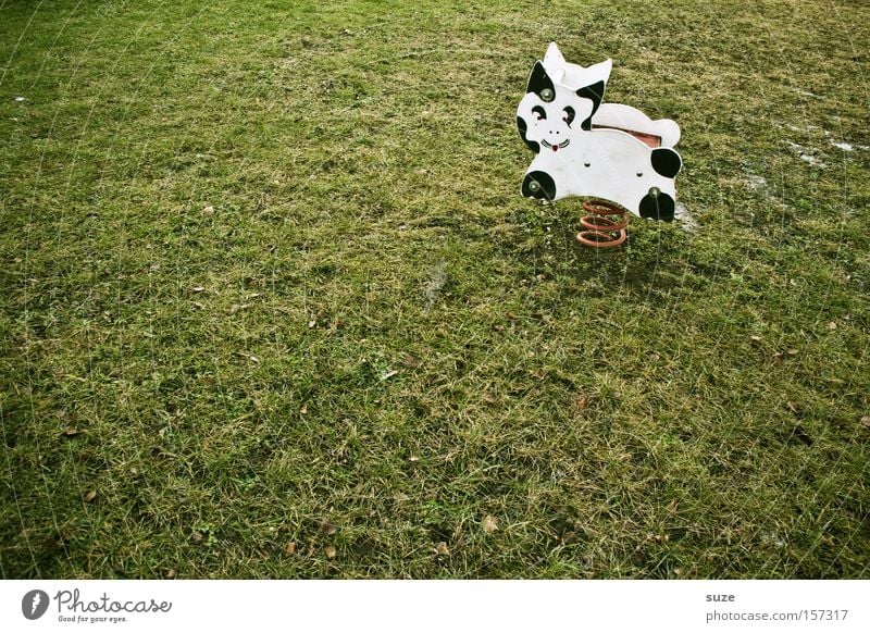 Katzenkuh Freude Freizeit & Hobby Spielen Kindheit Gras Wiese Spielplatz Kuh Metallfeder Einsamkeit Rasen Wippe leer kinderlos Erinnerung Farbfoto mehrfarbig