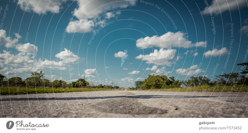 Unter den Wolken Ferien & Urlaub & Reisen Tourismus Ausflug Abenteuer Ferne Freiheit Sommer Sommerurlaub Sonne Himmel Horizont Klima Schönes Wetter Kuba