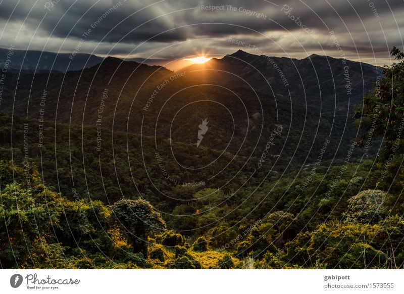 Sierra Maestra Ferien & Urlaub & Reisen Ausflug Abenteuer Ferne Freiheit wandern Natur Landschaft Pflanze Tier Urelemente Himmel Wolken Gewitterwolken Horizont