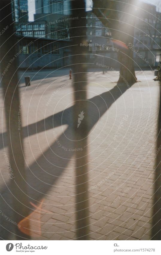 licht Schönes Wetter Baum Stadt Haus Hochhaus Gebäude Architektur Gitter Zaun analog Farbfoto Außenaufnahme Menschenleer Tag Licht Lichterscheinung Sonnenlicht