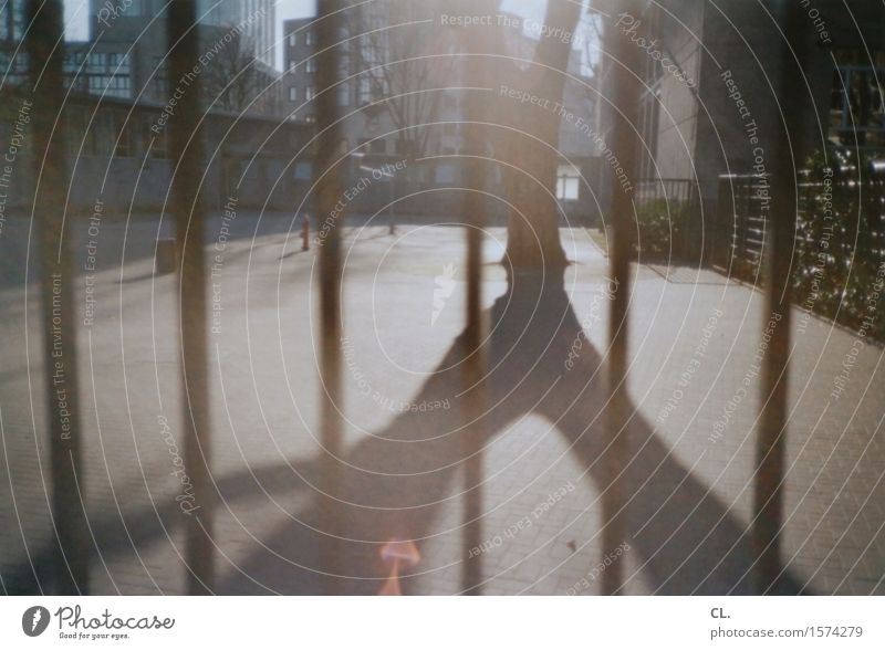 durchs gitter Sonnenlicht Wetter Schönes Wetter Baum Haus Platz Gitter Zaun Barriere Stadt Umwelt analog Farbfoto Außenaufnahme Menschenleer Tag Licht Schatten