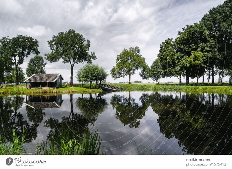 Spieglein Spieglein Leben harmonisch Erholung ruhig Meditation Ferien & Urlaub & Reisen wandern Haus Garten Natur Landschaft Wasser Himmel Wald Seeufer Bucht