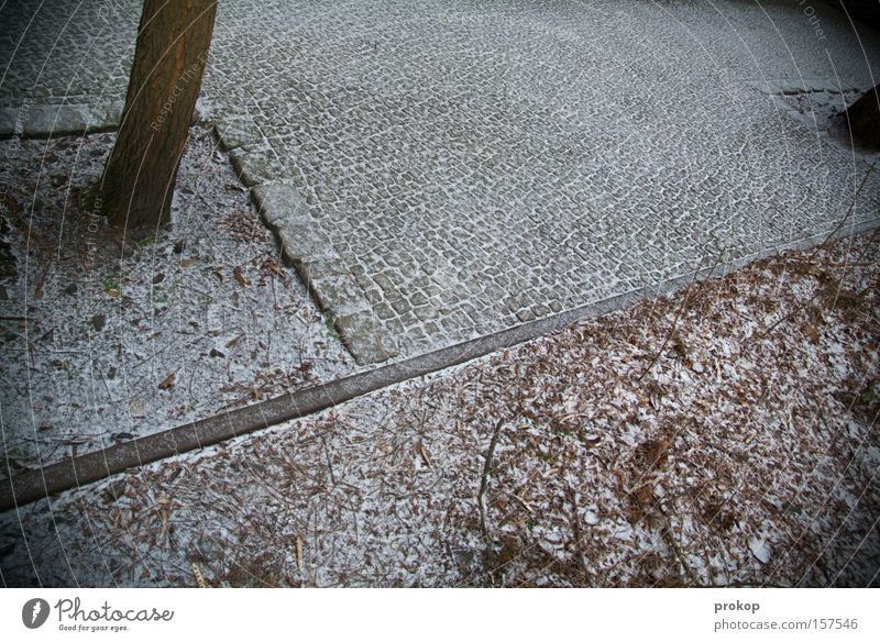 Spurlos Schnee Blatt Baum Wege & Pfade kalt ruhig Erholung gehen Winter Stadt Spaziergang Frost grau dunkel Detailaufnahme Langeweile