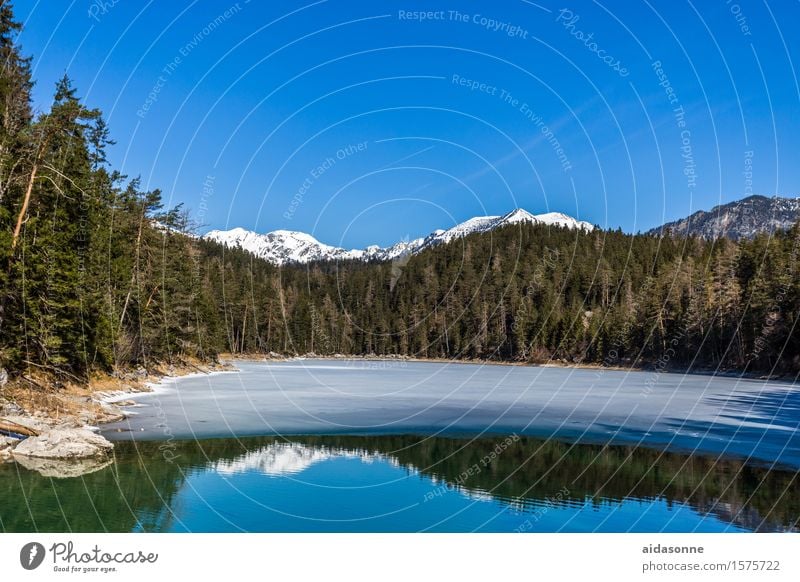 Eibsee Landschaft Wasser Himmel Wolkenloser Himmel Frühling Schönes Wetter Wald Alpen Berge u. Gebirge Seeufer Gefühle Stimmung Zufriedenheit friedlich Vorsicht