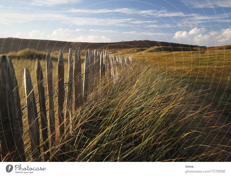 Spätsommer Umwelt Natur Landschaft Himmel Wolken Sommer Schönes Wetter Gras Berge u. Gebirge Küste Zaun Gefühle Stimmung Zufriedenheit Lebensfreude Romantik