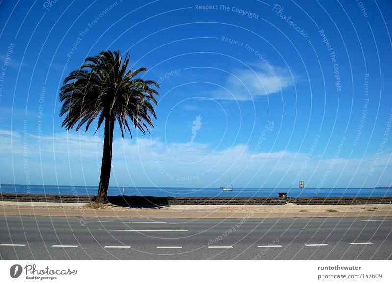 Schattenspender Strand Promenade Meer Wasser Palme Straße Erholung Melbourne Australien Himmel Wolken Autobahn Küste