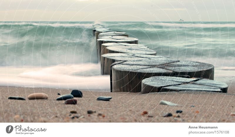 Buhnen an der Ostseeküste II Schwimmen & Baden Freizeit & Hobby Ferien & Urlaub & Reisen Freiheit Strand Meer Wellen Umwelt Natur Sand Wasser Sturm Küste Bucht