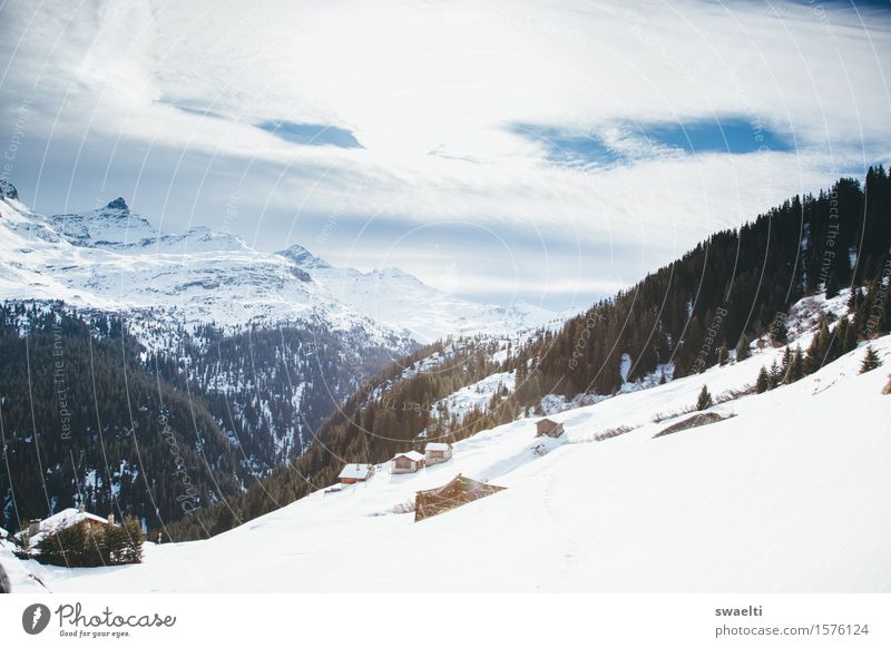 We're ready for you, snow Zufriedenheit ruhig Winter Schnee Berge u. Gebirge wandern Natur Landschaft Himmel Wolken Wetter Freundlichkeit Glück kalt natürlich