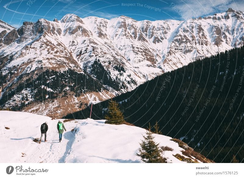 Walk your way Tourismus Ausflug Abenteuer Ferne Freiheit Winter Schnee Winterurlaub Berge u. Gebirge wandern Mensch 2 Natur Landschaft Hügel Felsen Alpen Gipfel